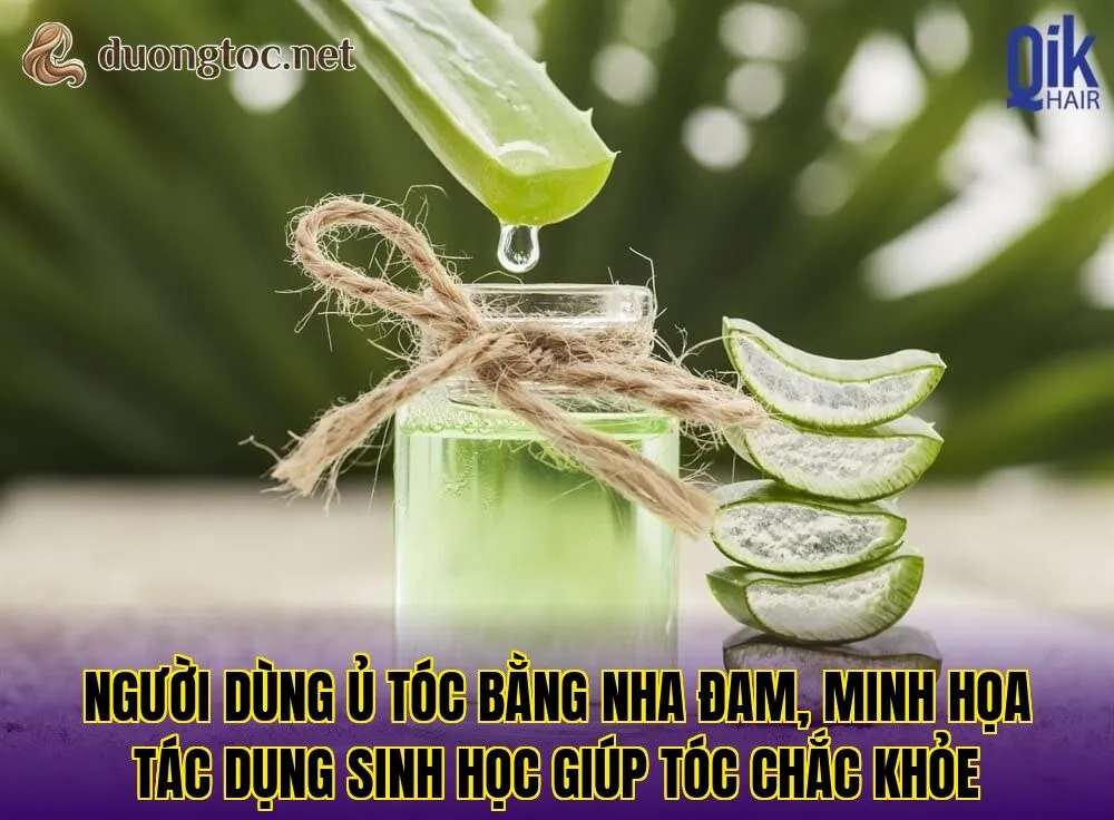 Người dùng ủ tóc bằng nha đam, minh họa tác dụng sinh học giúp tóc chắc khỏe
