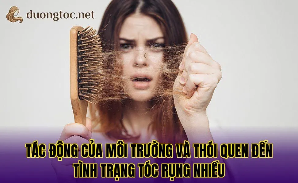 Tác động của môi trường và thói quen đến tình trạng tóc rụng nhiều