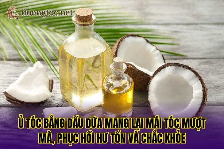 Ủ tóc bằng dầu dừa mang lại mái tóc mượt mà, phục hồi hư tổn và chắc khỏe