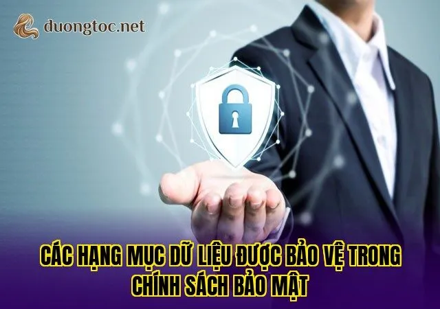 Các hạng mục dữ liệu được bảo vệ trong chính sách bảo mật