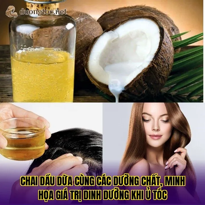 Chai dầu dừa cùng các dưỡng chất, minh họa giá trị dinh dưỡng khi ủ tóc