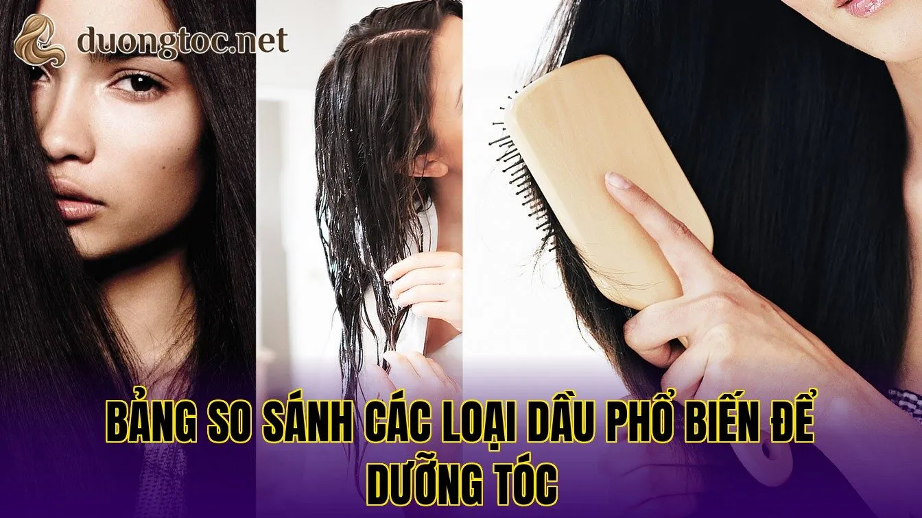 Bảng so sánh các loại dầu phổ biến để dưỡng tóc