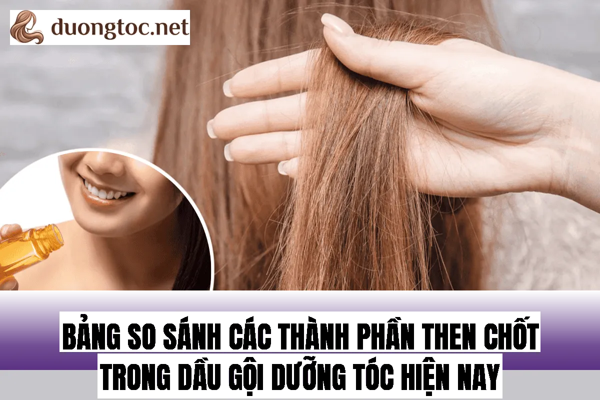 Bảng so sánh các thành phần then chốt trong dầu gội dưỡng tóc hiện nay