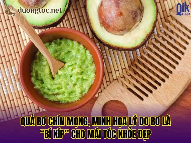 Quả bơ chín mọng, minh họa lý do bơ là “bí kíp” cho mái tóc khỏe đẹp