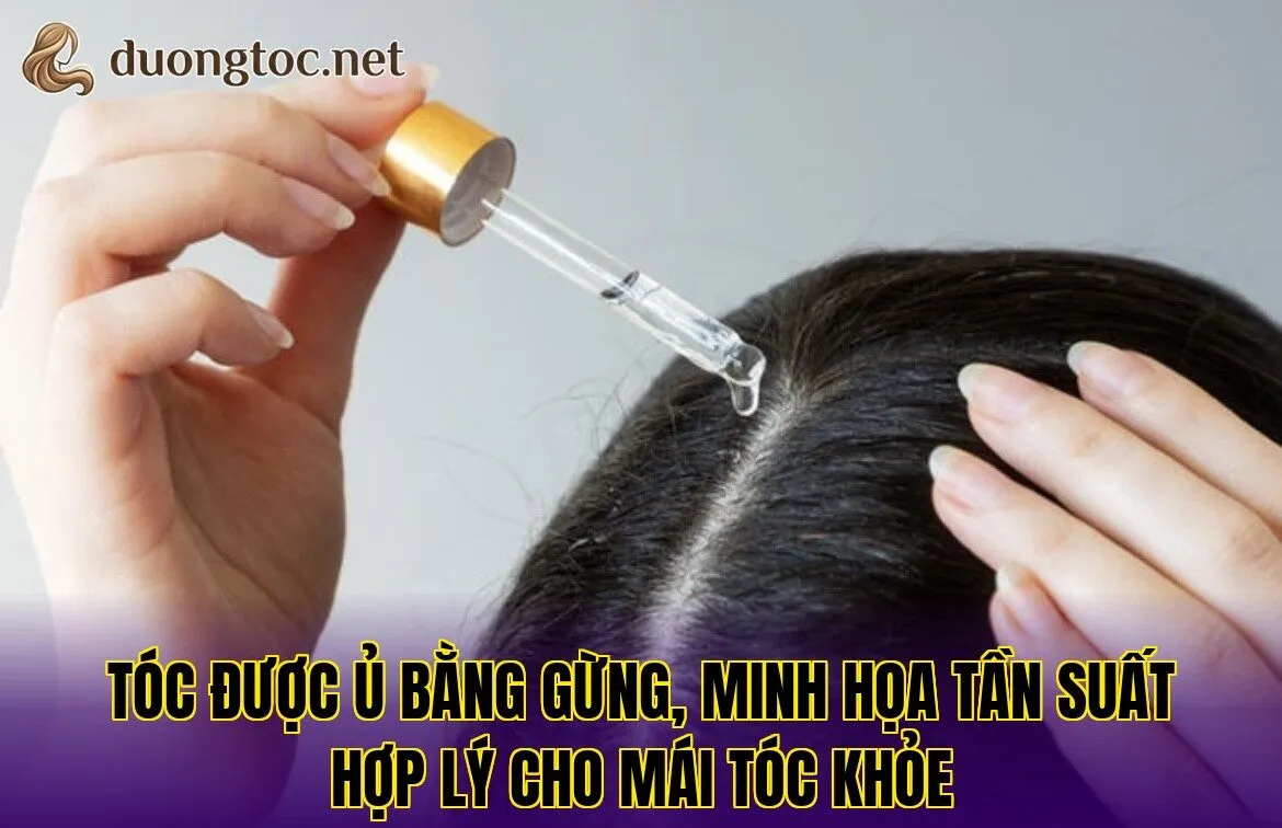 Tóc được ủ bằng gừng, minh họa tần suất hợp lý cho mái tóc khỏe