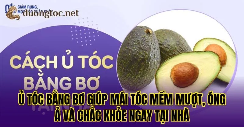 Ủ tóc bằng bơ giúp mái tóc mềm mượt, óng ả và chắc khỏe ngay tại nhà