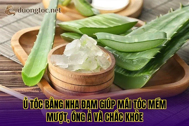 Ủ tóc bằng nha đam giúp mái tóc mềm mượt, óng ả và chắc khỏe