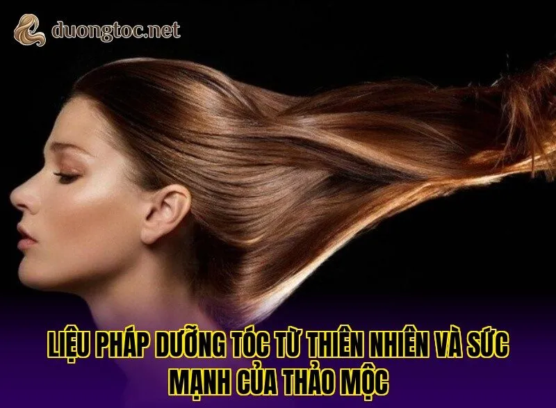 Liệu pháp dưỡng tóc từ thiên nhiên và sức mạnh của thảo mộc