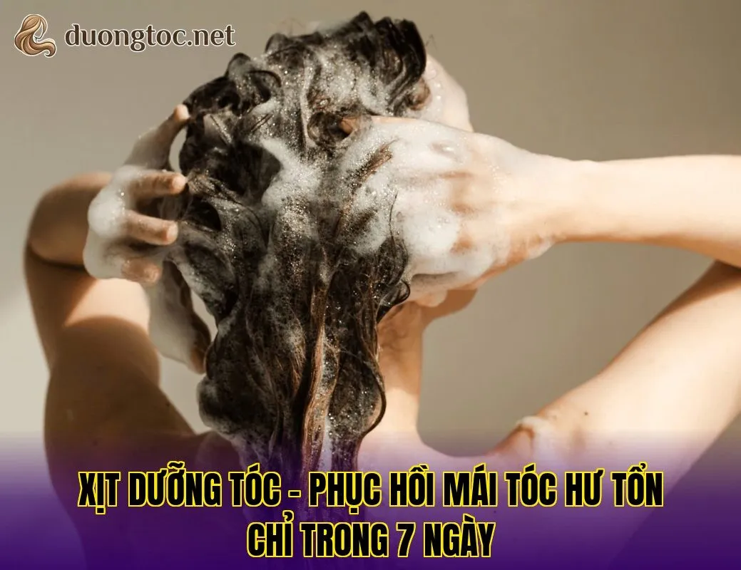 Xịt dưỡng tóc – phục hồi mái tóc hư tổn chỉ trong 7 ngày