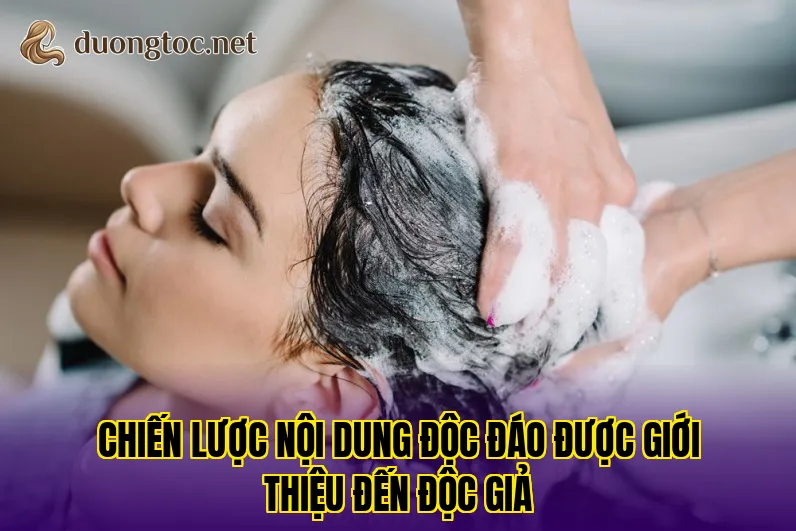 Chiến lược nội dung độc đáo được giới thiệu đến độc giả