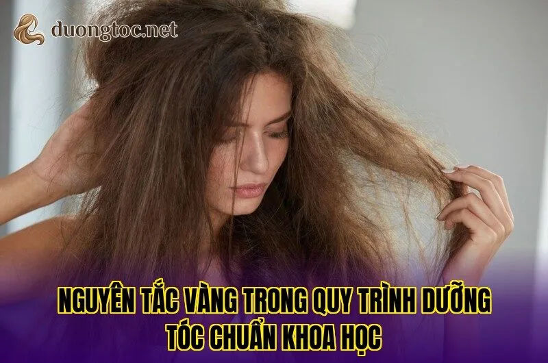 Nguyên tắc vàng trong quy trình dưỡng tóc chuẩn khoa học