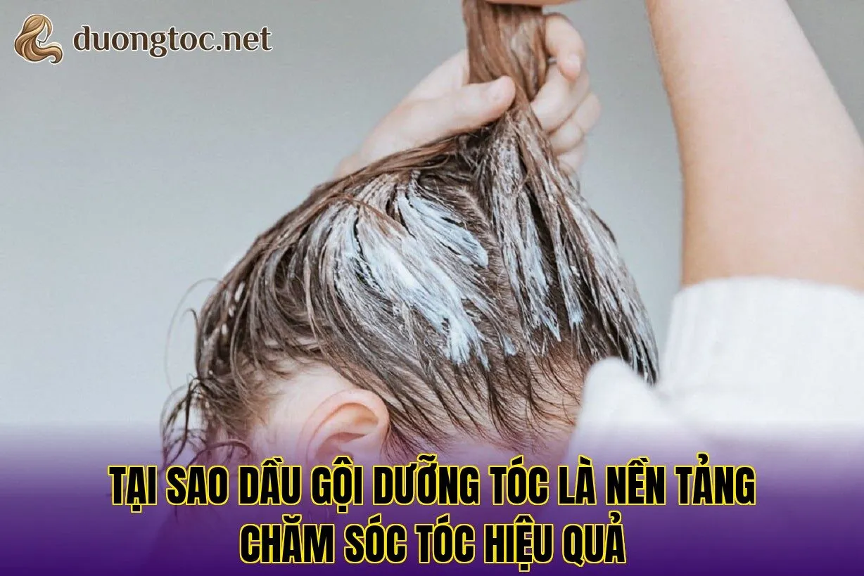Tại sao dầu gội dưỡng tóc là nền tảng chăm sóc tóc hiệu quả