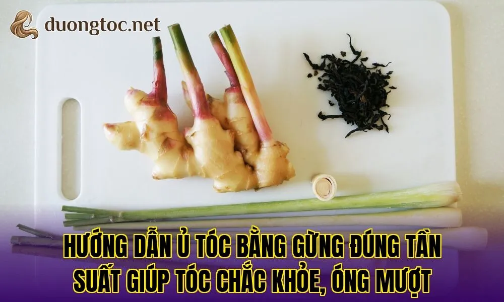 Hướng dẫn ủ tóc bằng gừng đúng tần suất giúp tóc chắc khỏe, óng mượt