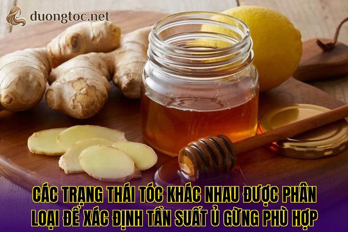 Các trạng thái tóc khác nhau được phân loại để xác định tần suất ủ gừng phù hợp