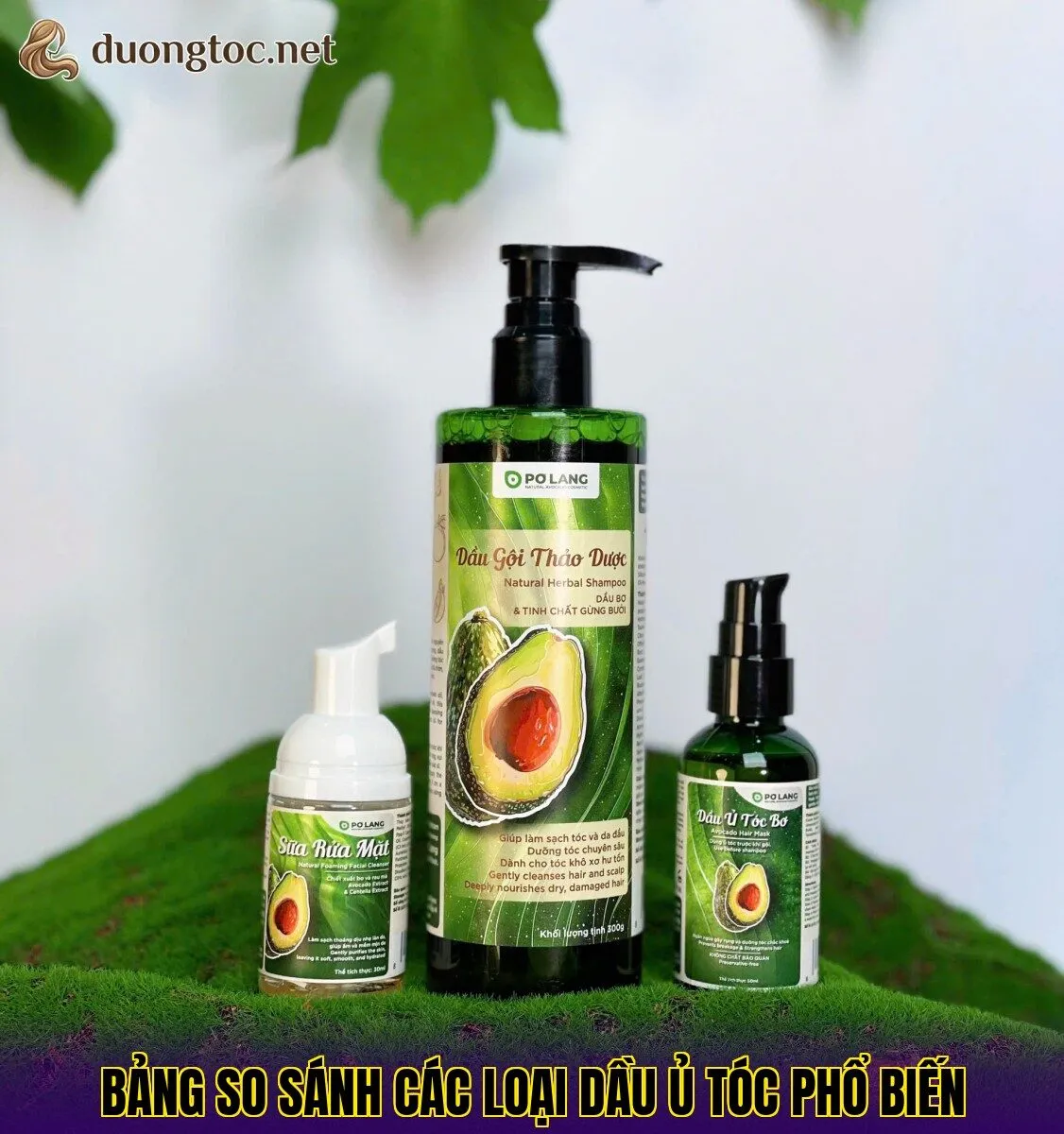 Bảng so sánh các loại dầu ủ tóc phổ biến