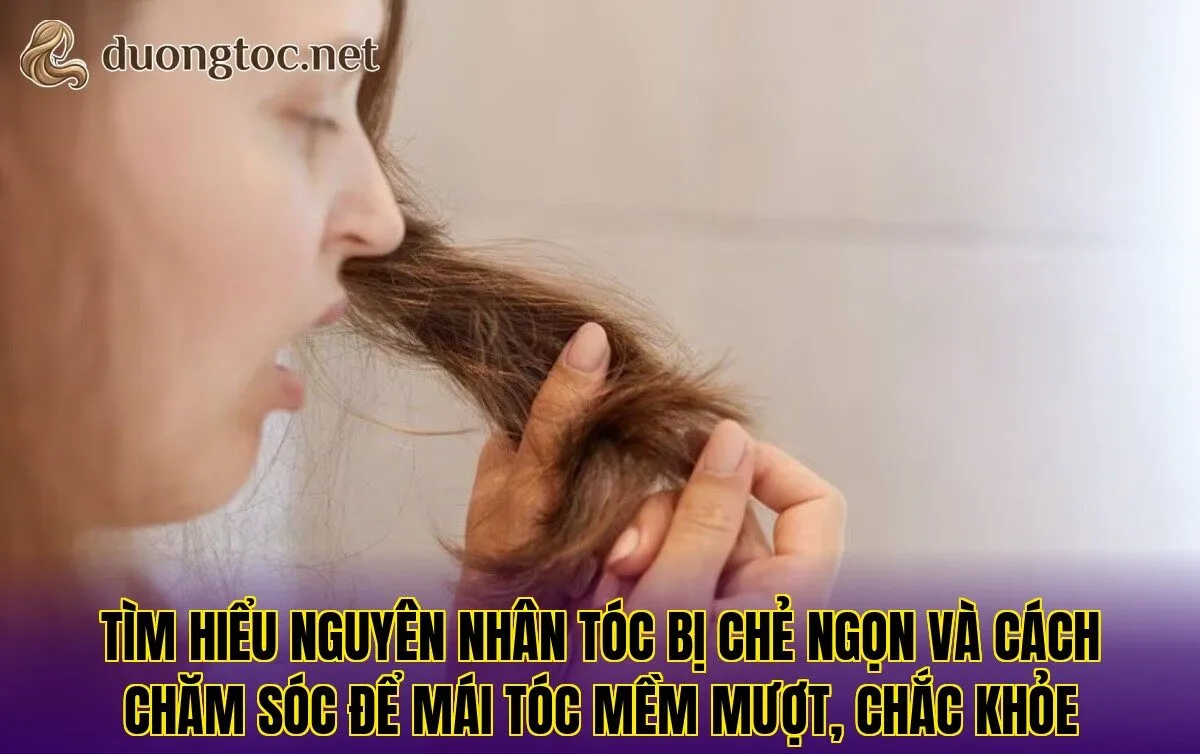 Tìm hiểu nguyên nhân tóc bị chẻ ngọn và cách chăm sóc để mái tóc mềm mượt, chắc khỏe