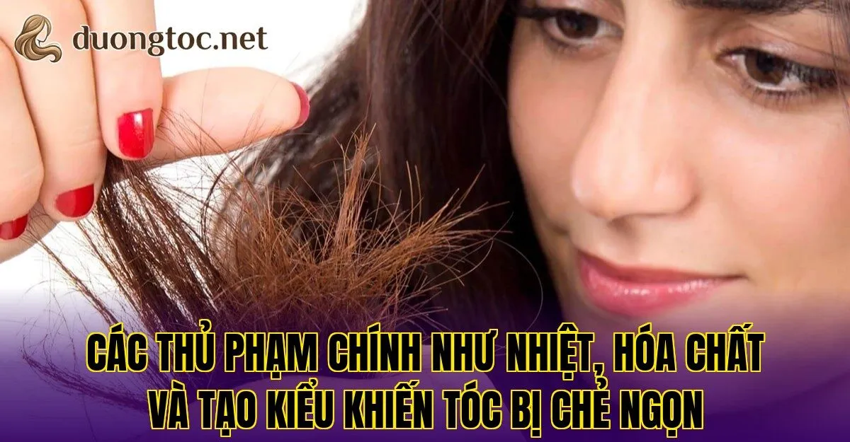 Các thủ phạm chính như nhiệt, hóa chất và tạo kiểu khiến tóc bị chẻ ngọn