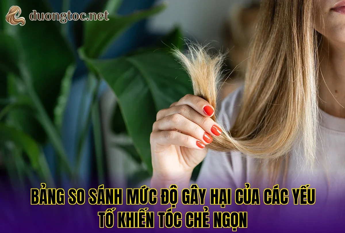Bảng so sánh mức độ gây hại của các yếu tố khiến tóc chẻ ngọn