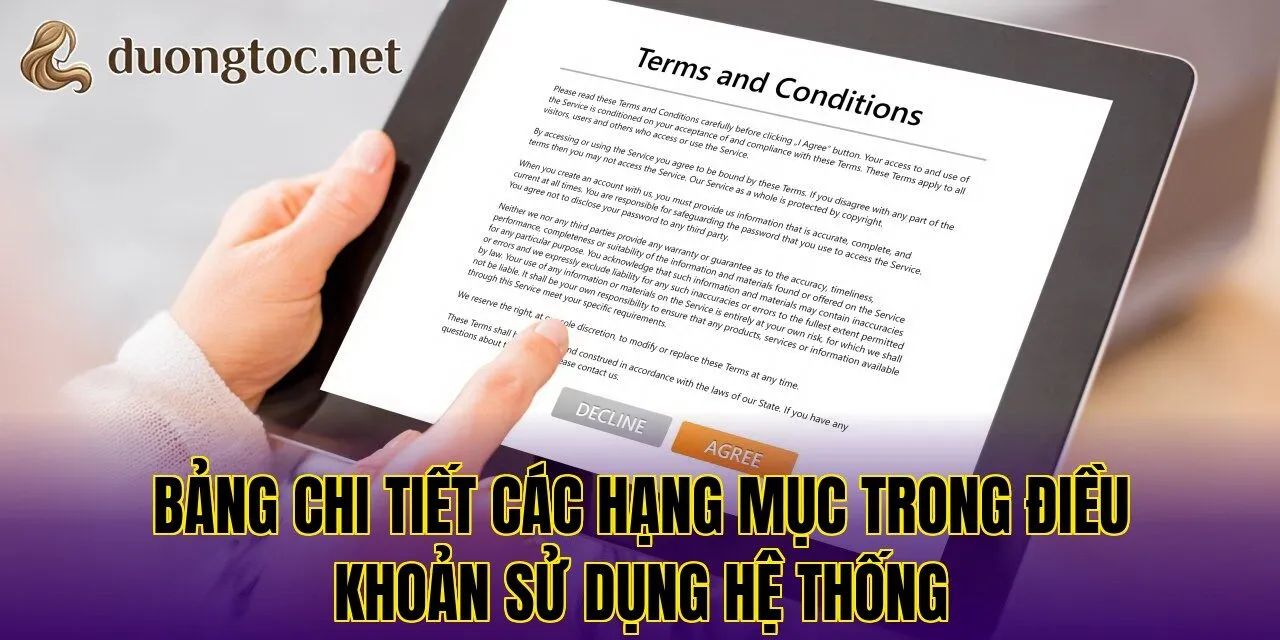 Bảng chi tiết các hạng mục trong điều khoản sử dụng hệ thống