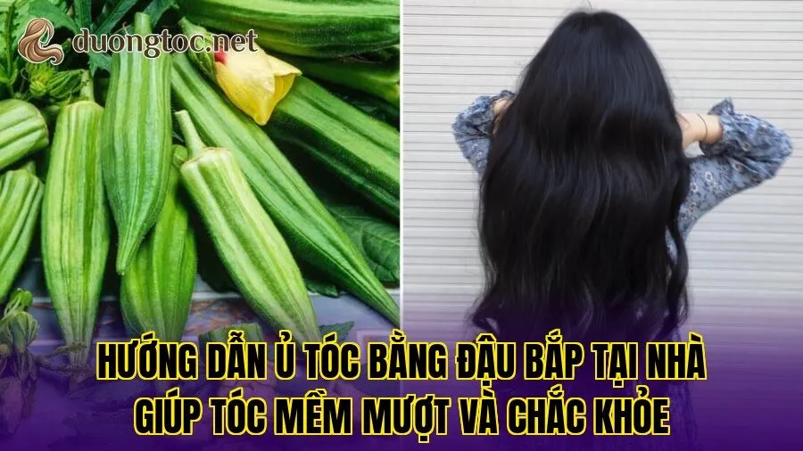 Hướng dẫn ủ tóc bằng đậu bắp tại nhà giúp tóc mềm mượt và chắc khỏe