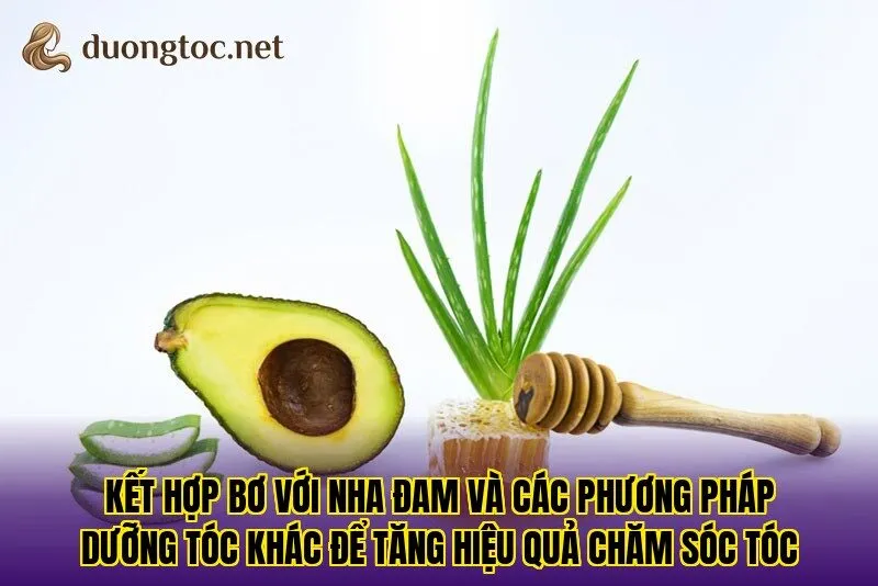 Kết hợp bơ với nha đam và các phương pháp dưỡng tóc khác để tăng hiệu quả chăm sóc tóc