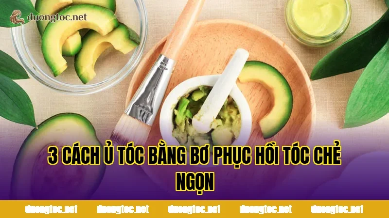 3 Cách Ủ Tóc Bằng Bơ Phục Hồi Tóc Chẻ Ngọn