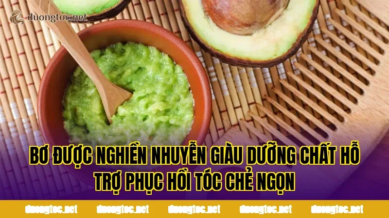 Bơ được nghiền nhuyễn giàu dưỡng chất hỗ trợ phục hồi tóc chẻ ngọn
