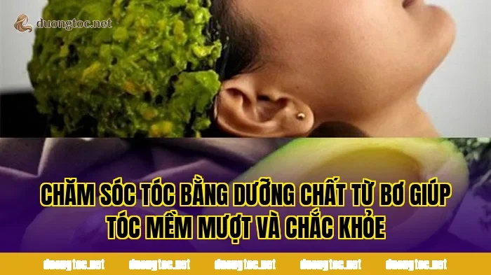 Chăm sóc tóc bằng dưỡng chất từ bơ giúp tóc mềm mượt và chắc khỏe
