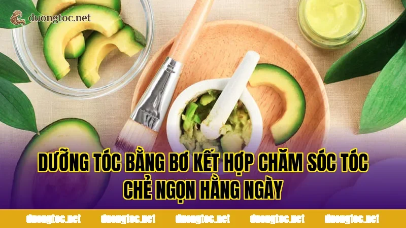 Dưỡng tóc bằng bơ kết hợp chăm sóc tóc chẻ ngọn hằng ngày
