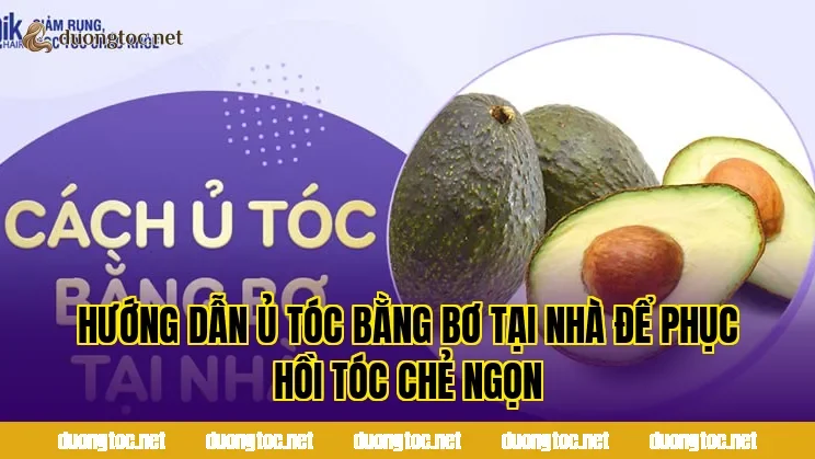 Hướng dẫn ủ tóc bằng bơ tại nhà để phục hồi tóc chẻ ngọn