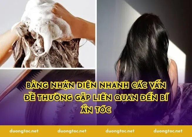 Bảng nhận diện nhanh các vấn đề thường gặp liên quan đến bí ẩn tóc