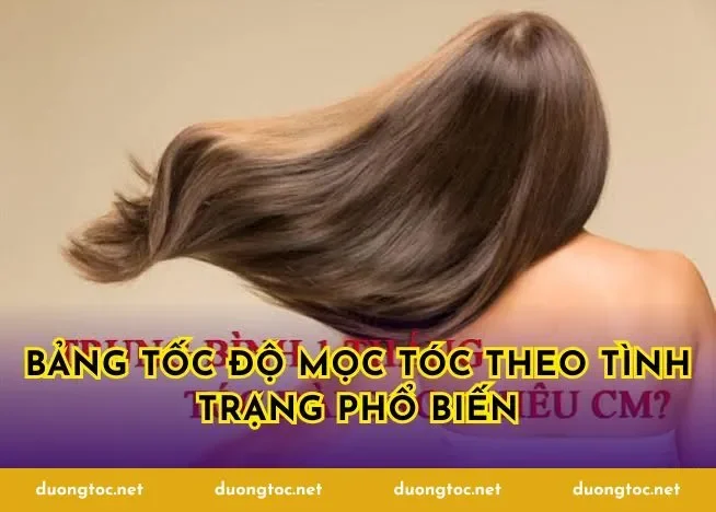 Bảng tốc độ mọc tóc theo tình trạng phổ biến