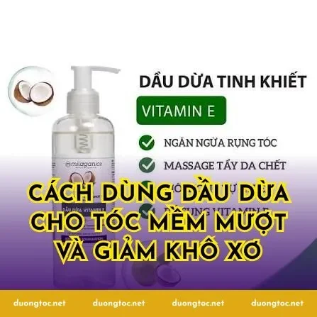 Cách dùng dầu dừa cho tóc mềm mượt và giảm khô xơ
