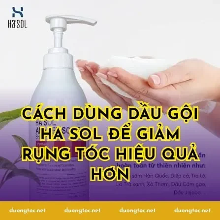 Cách dùng dầu gội Ha Sol để giảm rụng tóc hiệu quả hơn
