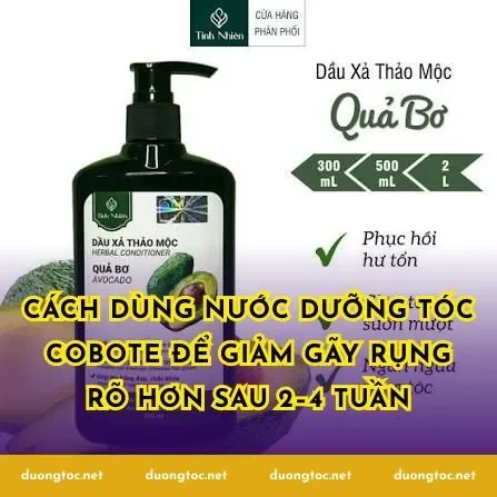 Cách dùng nước dưỡng tóc Cobote để giảm gãy rụng rõ hơn sau 2–4 tuần
