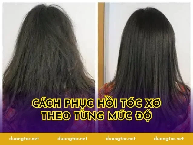 Cách phục hồi tóc xơ theo từng mức độ