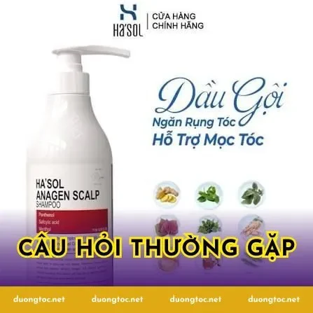 Câu hỏi thường gặp