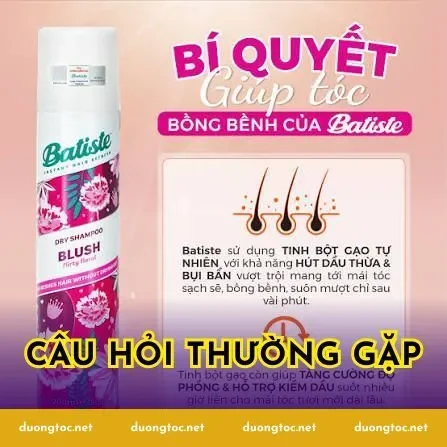 Câu hỏi thường gặp