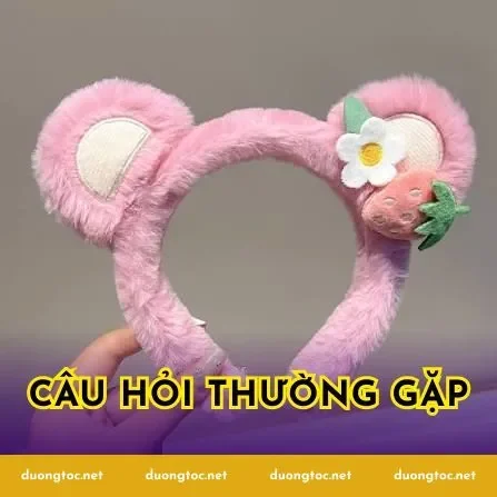 Câu hỏi thường gặp