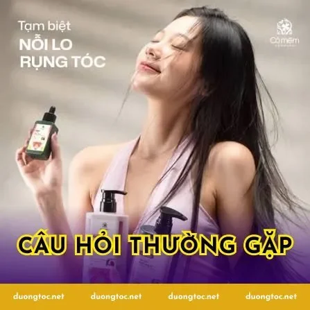 Câu hỏi thường gặp