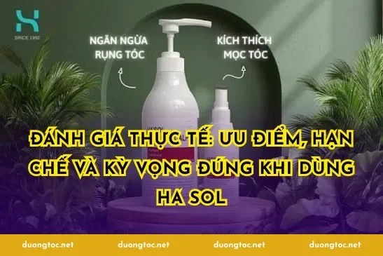 Đánh giá thực tế: ưu điểm, hạn chế và kỳ vọng đúng khi dùng Ha Sol