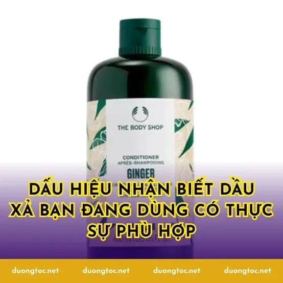 Dấu hiệu nhận biết dầu xả bạn đang dùng có thực sự phù hợp