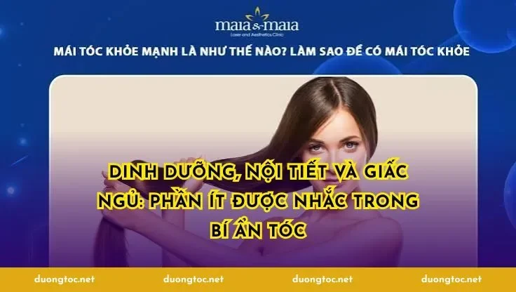 Dinh dưỡng, nội tiết và giấc ngủ: phần ít được nhắc trong bí ẩn tóc