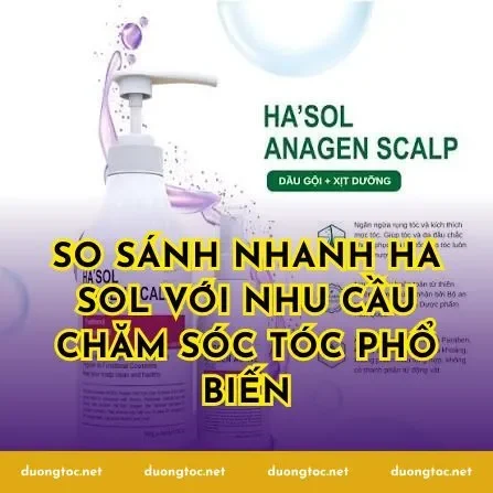 So sánh nhanh Ha Sol với nhu cầu chăm sóc tóc phổ biến