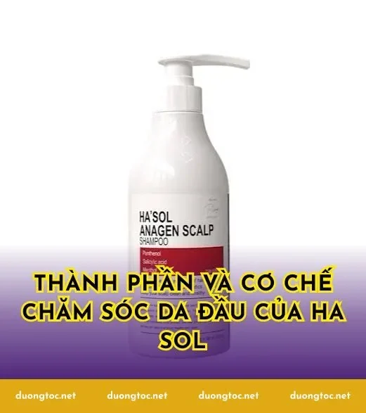 Thành phần và cơ chế chăm sóc da đầu của Ha Sol