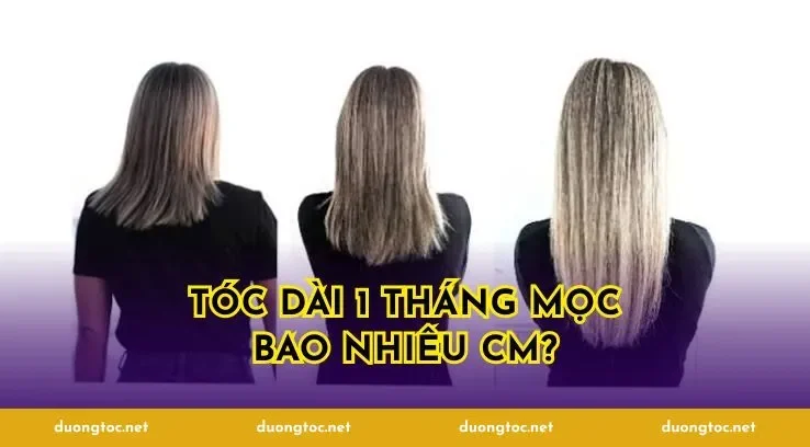 tóc dài 1 tháng mọc bao nhiêu cm?