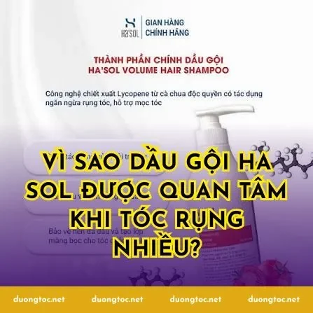 Vì sao dầu gội Ha Sol được quan tâm khi tóc rụng nhiều?