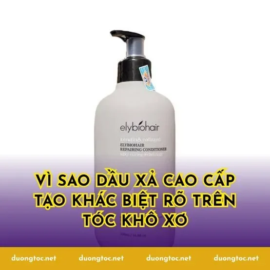 Vì sao dầu xả cao cấp tạo khác biệt rõ trên tóc khô xơ