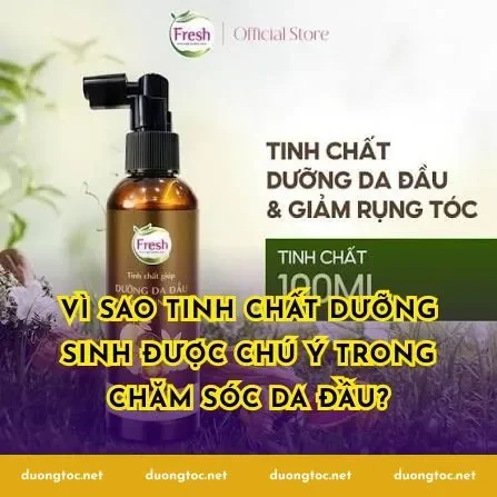 Vì sao tinh chất dưỡng sinh được chú ý trong chăm sóc da đầu?