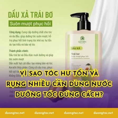 Vì sao tóc hư tổn và rụng nhiều cần dùng nước dưỡng tóc đúng cách?